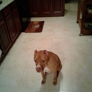 Meet your Posher, Edward